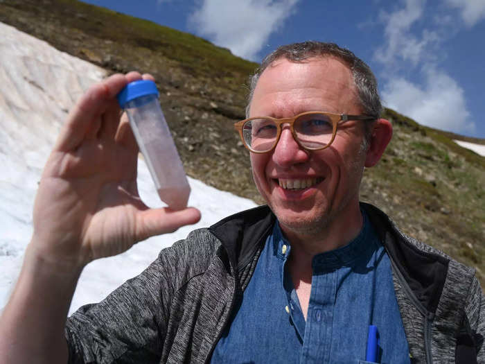 Researcher Eric Maréchal suspects snow and ice algae are on every glacier on Earth — vestige of a time when ice covered the planet, 20,000 years ago.