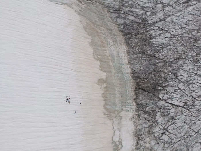 In Greenland, glaciers are turning a deep purple-grey — almost black.