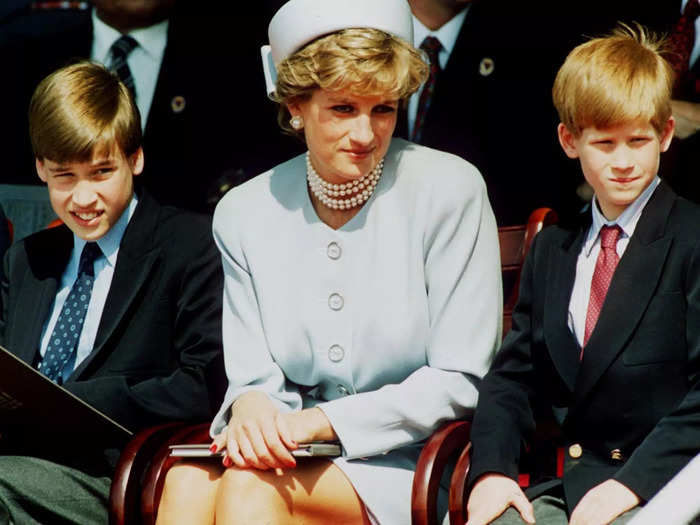 Harry said William was "concerned" when he said Princess Diana guided him to Meghan.