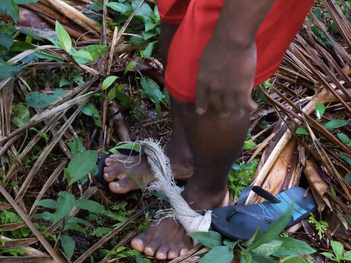 Collecting açaí can be a difficult — and dangerous — process.