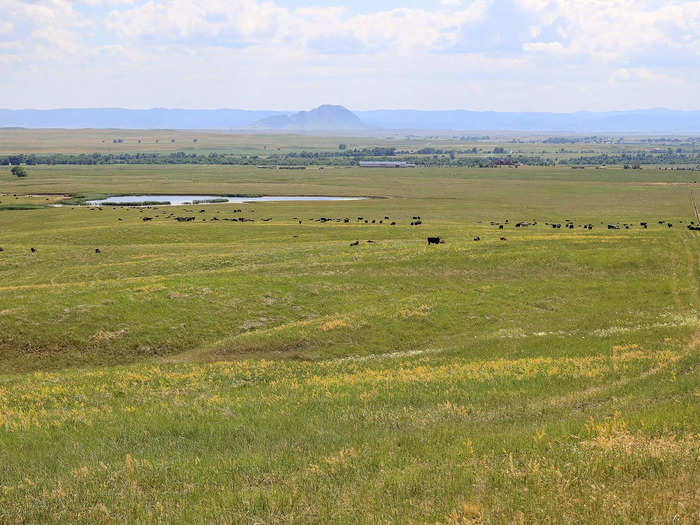 The ranch includes 38 pastures for livestock and its pivot plots can produce about 150 bushels of corn and six tons alfalfa per acre, the listing notes.