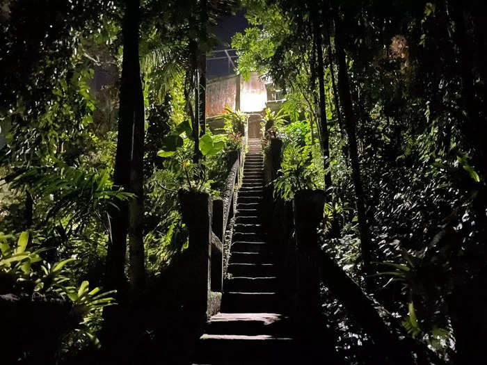 Post-tour, we were once again free to roam the jungle. With fewer people in the dark rainforest, I found nighttime even spookier than daytime.