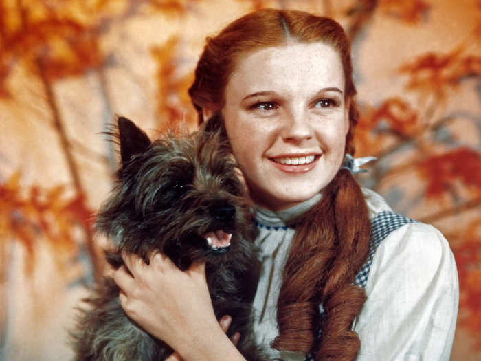 Before Hussey and Whiting, there was Judy Garland.