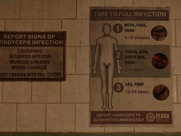 A flyer explains how long it takes for the cordyceps infection to take over depending on where an individual is bit or injured.