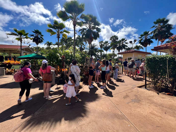 There are three activities guests can experience at Dole Plantation.