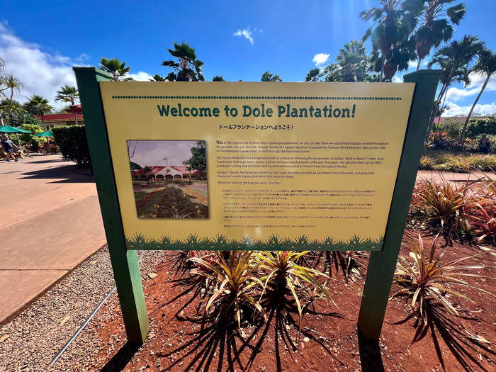 I drove an hour to get to the Dole Plantation at opening time.