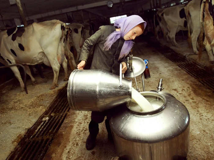 In 2006, the Amish way of life clashed with modern society over milk. An Amish man named Arlie Stutzman was caught selling unpasteurized milk by an undercover agent from Ohio