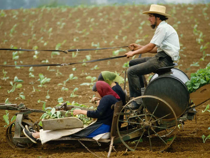 In the 1990s, according to the Los Angeles Times, rising land prices put pressure on the Amish, who are expected to provide land for their children. By 1993, land prices had doubled from eight years earlier.