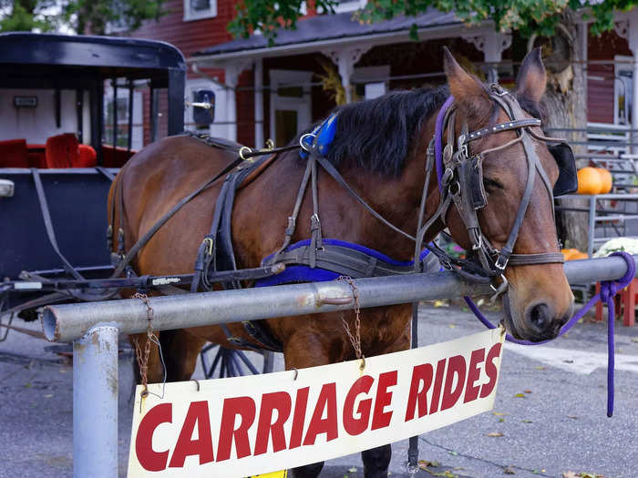 Amish bakeries and bed and breakfasts opened, and shops started selling furniture and quilts. One Amish woman compared tourism to the ticking of a clock. "You don