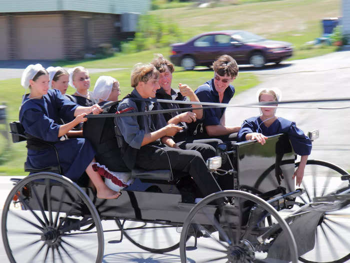 Studies have found at least 80% end up joining the Amish church, despite all of the temptations of modern society like music, electricity, cars, and alcohol. Something pulls the majority back.