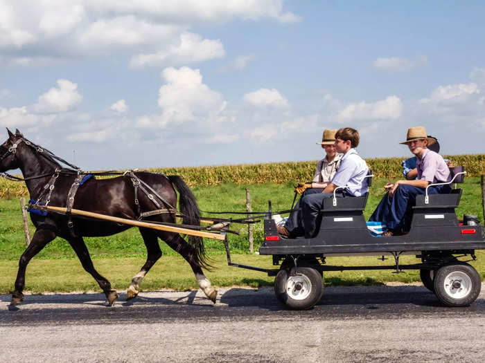 Over the next 100 years, more Amish migrated to America. In total, 200 Amish families arrived in the US. They