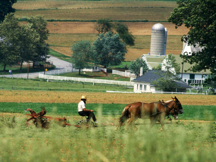 But many still see the Amish