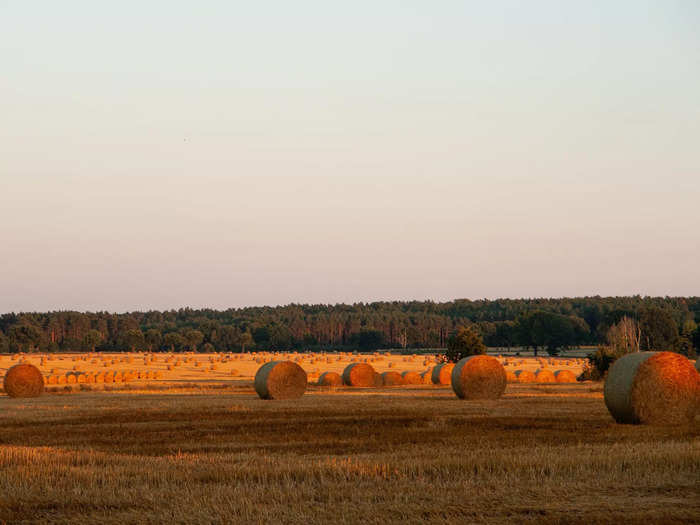 9. Oklahoma