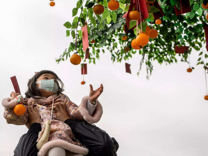 In Hong Kong, a young girl was held up by an adult so that she could hang a mandarin orange, and a red packet containing a wish, on the Tsuen Wishing Tree in celebration of the Lunar New Year.