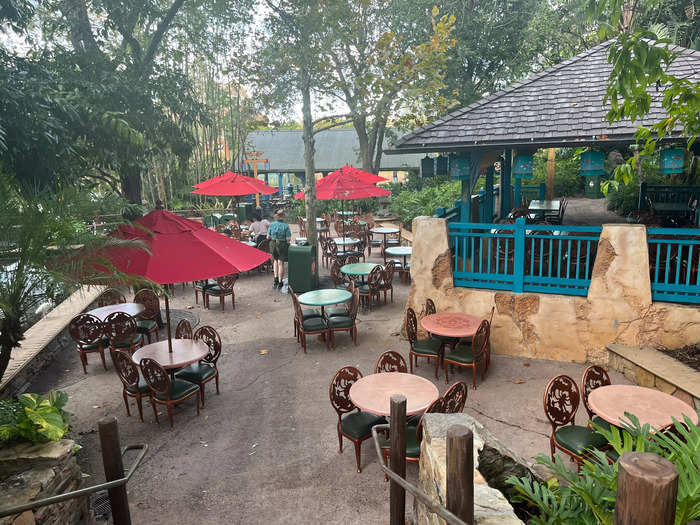 After eating, I discovered a seating area behind the restaurant with a breathtaking view of Expedition Everest.