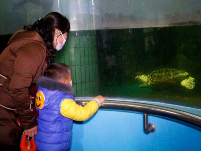 Citizens visit the zoo to see different breeds of animals from other countries.