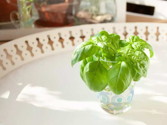 Add hand-torn basil for a fresher, deeper taste.