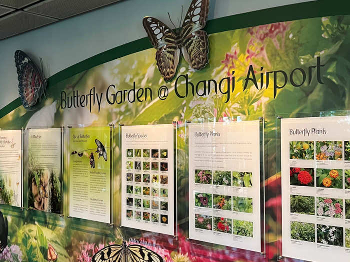 …or walk around the butterfly garden, which has 1,000 butterflies living inside representing some 47 species.