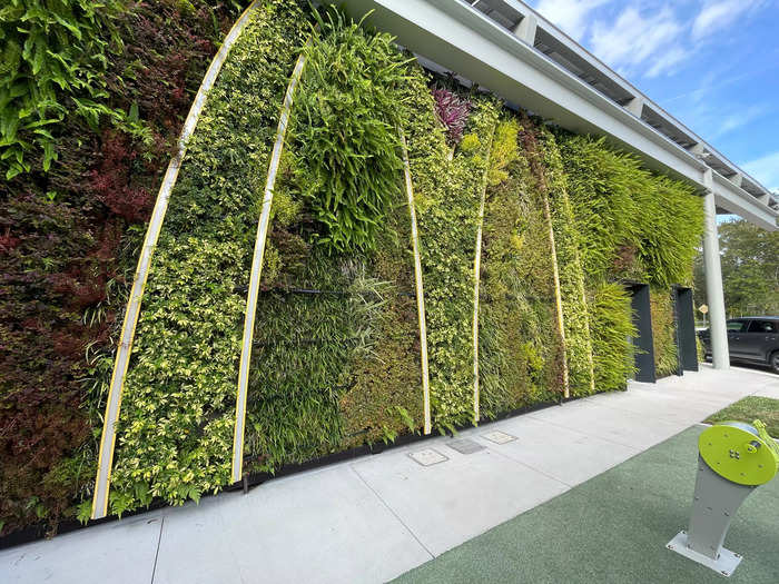 The nearly 2,000 square feet of living plant walls make for a good photo spot and keep the restaurant cool.