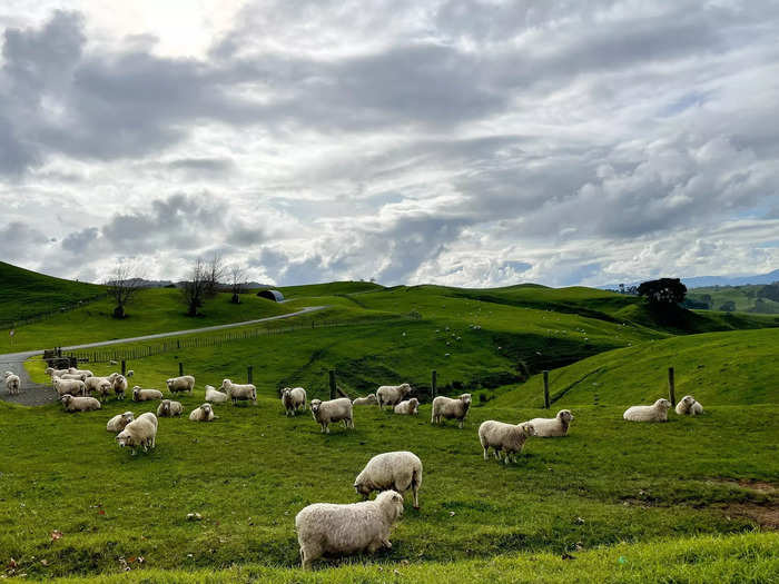 According to my guide, when movie scouts approached the farm