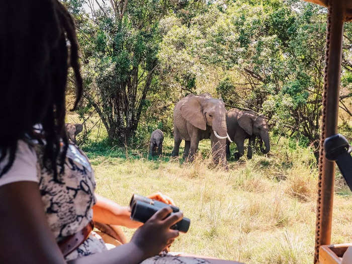 One of the biggest mistakes tourists make is thinking they can get out of the vehicle to take photos with wildlife. It could risk your life.