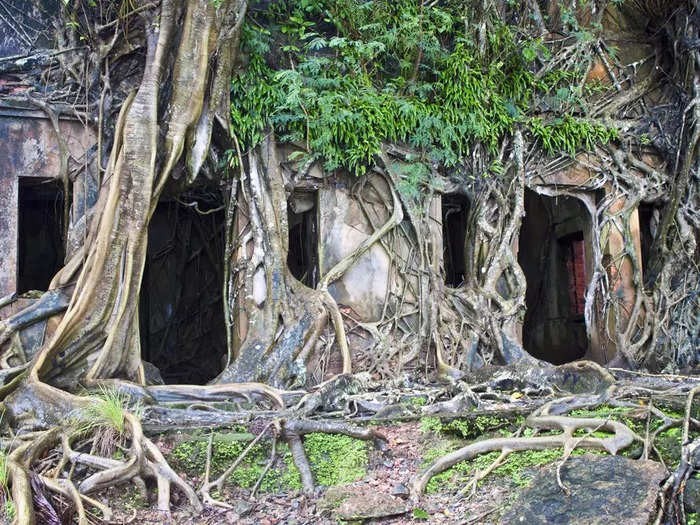 Ross Island in South Andaman, India, acted as a British penal colony for many years.