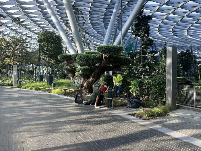 Toh explained the greenery is maintained by a team of horticulturalists, meaning almost every single leaf or blade of grass is cared for by a human.