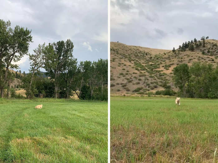 Living in the Big Sky state means you have access to pristine wilderness everywhere you turn.