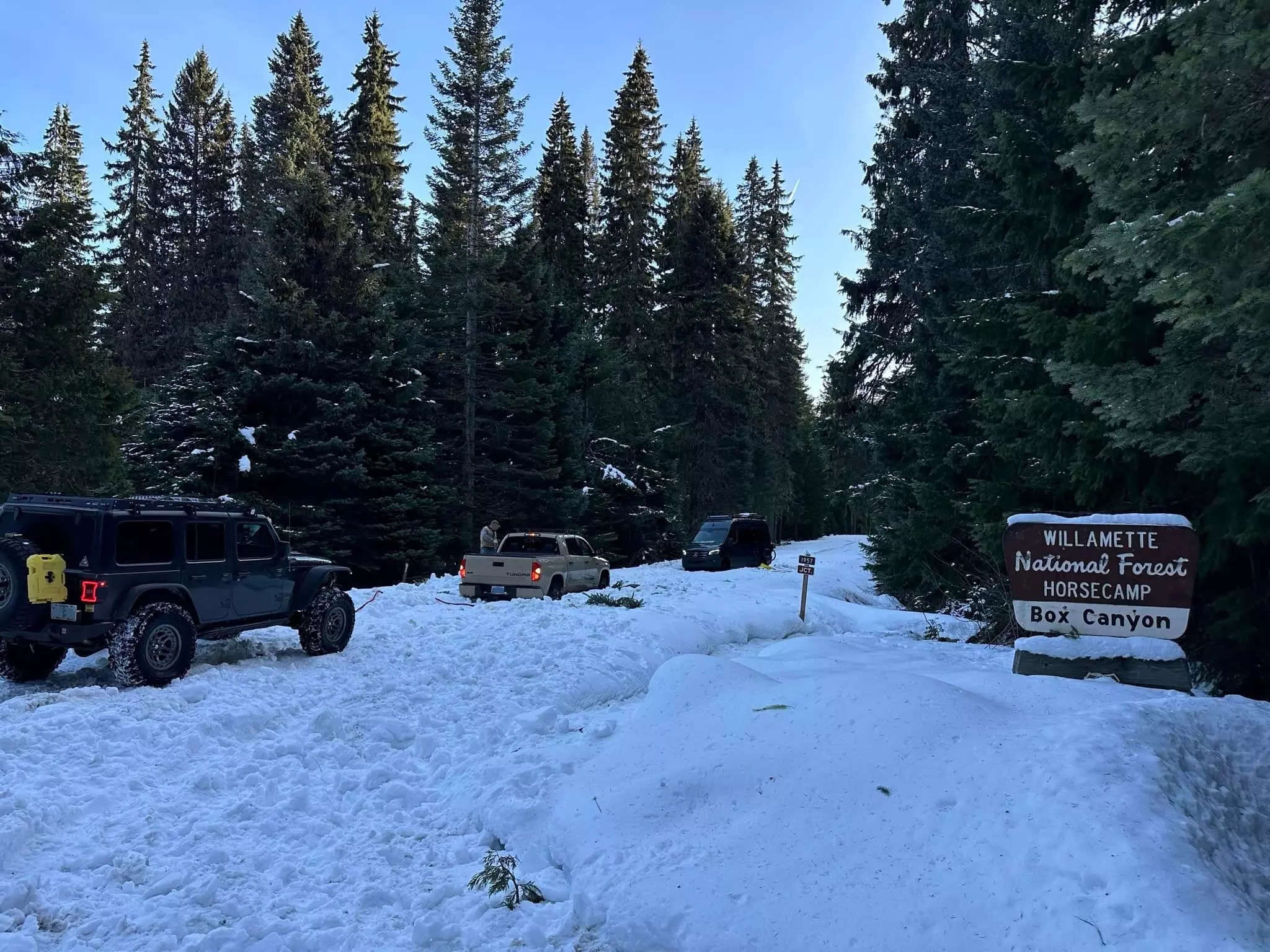 Vehicles stuck on snowy road surrounded by pine trees with a sign for Willamette National Forest.