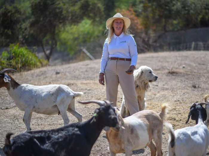 But goat herders are facing another issue — costs. Last year, a new law changed overtime rates for goat herders. It ensures that herders are paid 168 hours per week, because they are on-call 24 hours a day, seven days a week. This meant wages for sheepherders basically doubled.