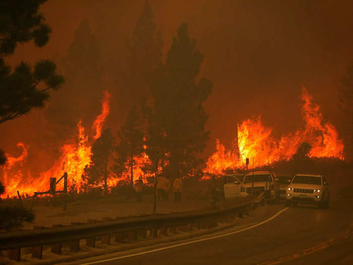 In 2021, more than 2 million acres of wilderness in California burned. Last year was declared "unexpectedly quiet" when 362,000 acres burned — this is still almost 100,000 acres more than in 1999.