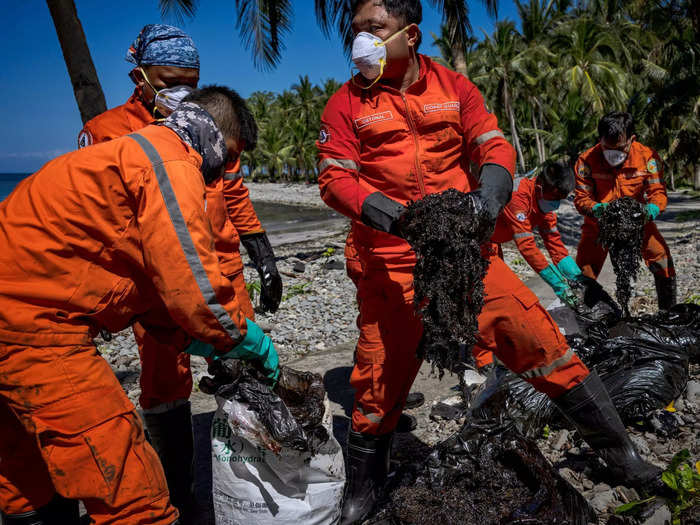 Oil is toxic. It kills coral and poisons other sea life, including coating birds