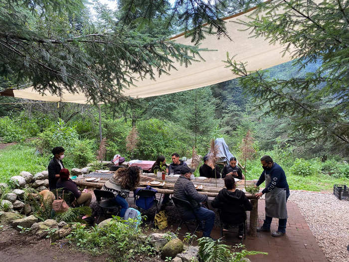 Forage for food to be used as part of an immersive dining experience in the Jilotzingo forest.