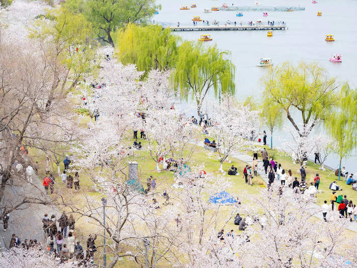 Xuanwu Lake Park, the largest urban park in the south of China, is another popular destination for the country