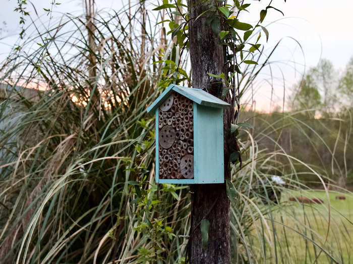 In the backyard, I spotted a bee house attached to a pretty wooden archway.