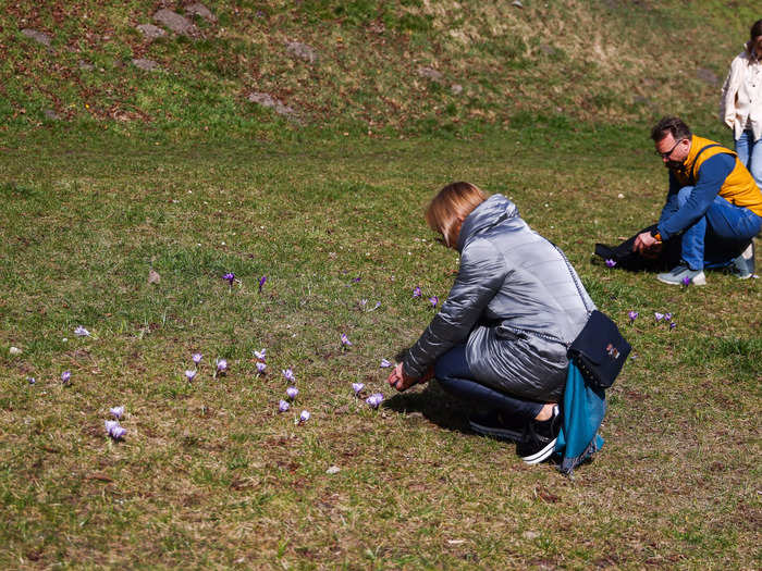 "Touch grass" is said to people who seem to spend too much time online and could benefit from going outside.