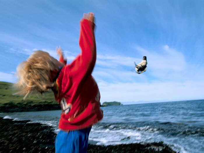 And despite how crude it looks, puffling tossing really is for their own good.