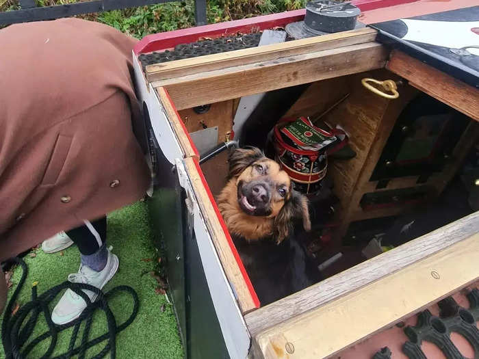 While on a sailing trip from South Africa to Brazil in 2017, Earle made a stop in the Caribbean and picked up a co-captain: her dog Leela.