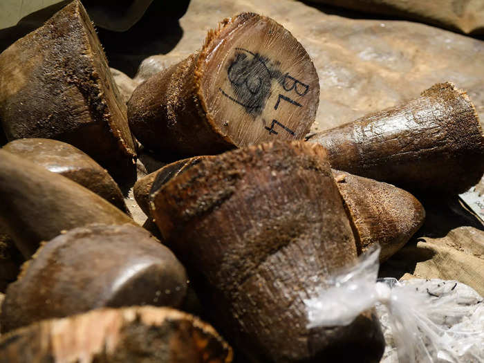 His critics argued it helped that he had a whole lot of horn stockpiled. By 2012, he had about 2,000 pounds of rhino horn. By 2015, his stock of horn was reported to be worth more than $200 million.