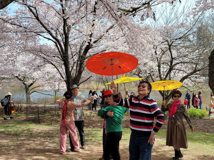 Near the lake, a group was playing traditional Japanese music and dancing with parasols.