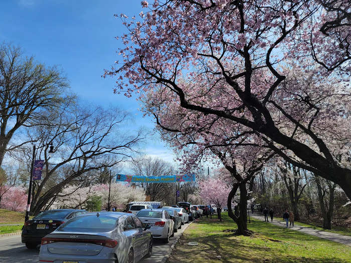 To start my visit, I found parking along the street near the under-construction Cherry Blossom Welcome Center (set to open fall 2023).