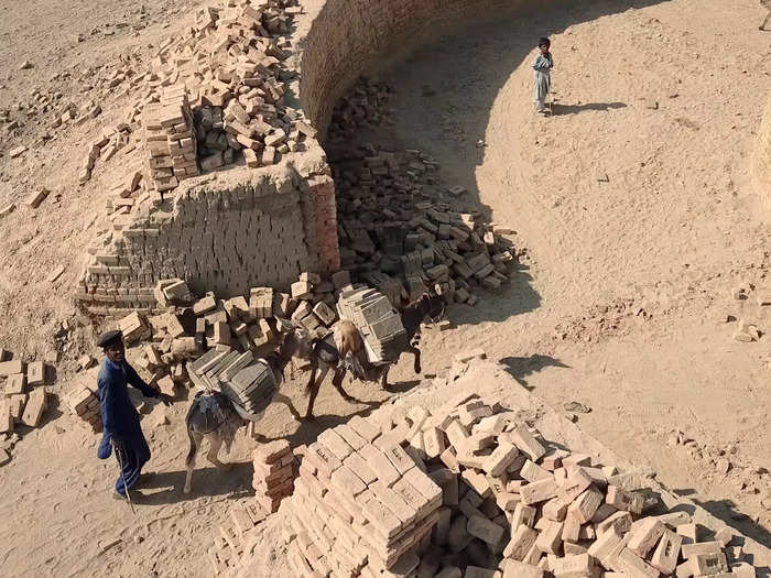 Donkeys are used to transport nearly 5,000 bricks from the plots to the fire kiln every day.