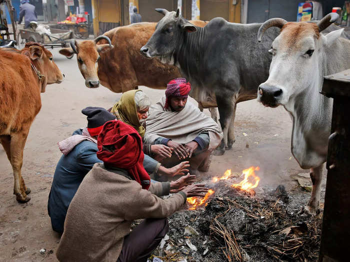 Until fairly recently, most Indian farmers slaughtered unnecessary cattle. Muslims, of which there are 200 million in India, also openly consumed beef since it was a fairly cheap source of protein.