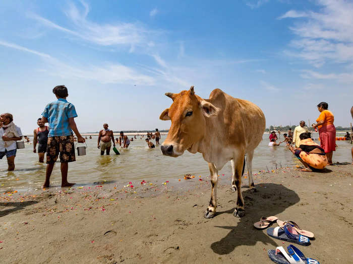 Or taking a dip in the River Ganges.