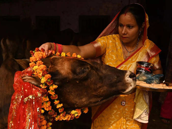 There are 1.3 billion people in India and about 1 billion of them are Hindu. Hinduism is a decentralized religion, but its mythology often refers to cows and their nourishing, sacred role in society.