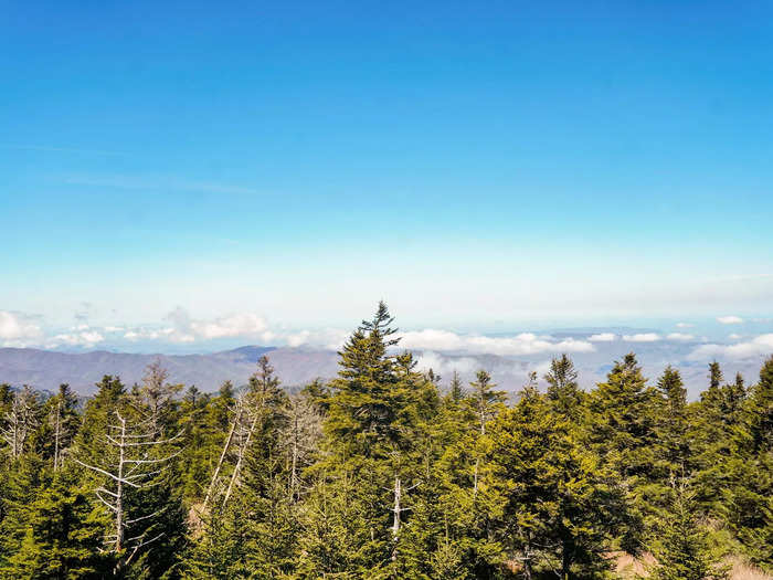 Welcome to the Great Smoky Mountains, a national park that covers half a million acres on the border of Tennessee and North Carolina.