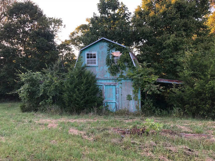 The shed had been left untouched for 20 years, and it was covered in vines and surrounded by trees and shrubs.