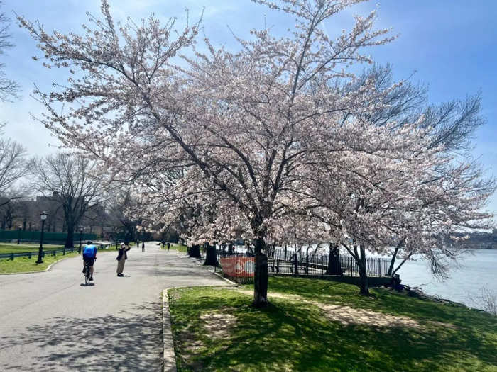 We walked along the Hudson River, taking in the fresh air and breeze during the first leg of our journey.