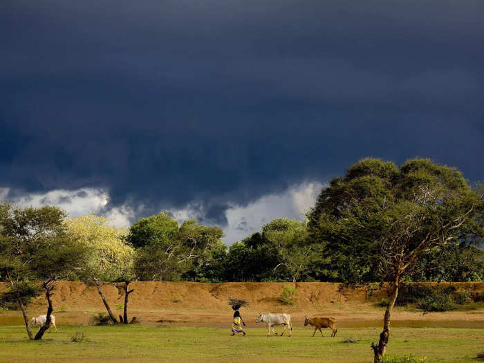 On your way to Chettinad, you will pass through a typical rural Indian scene — fields, small villages, and little concrete buildings.