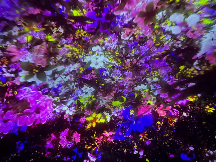 The flowers moved across the room on the screen and changed colors. It was equally as captivating as the other exhibits, but the room felt a little crowded.